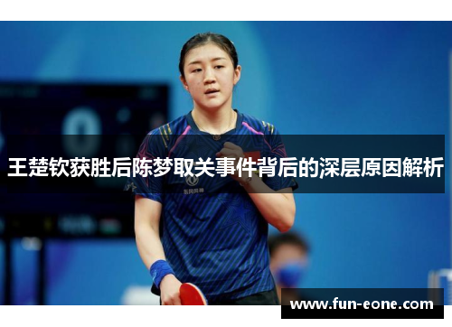 王楚钦获胜后陈梦取关事件背后的深层原因解析