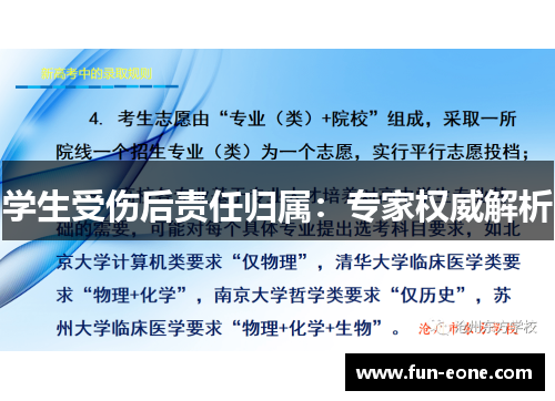 学生受伤后责任归属：专家权威解析