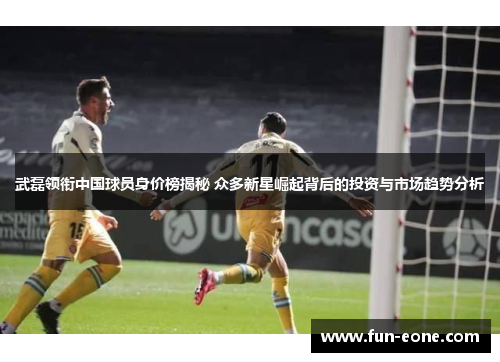 武磊领衔中国球员身价榜揭秘 众多新星崛起背后的投资与市场趋势分析