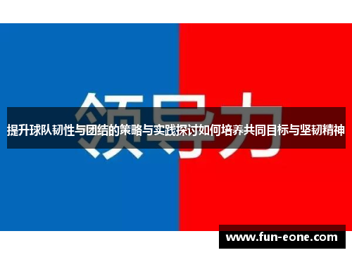 提升球队韧性与团结的策略与实践探讨如何培养共同目标与坚韧精神